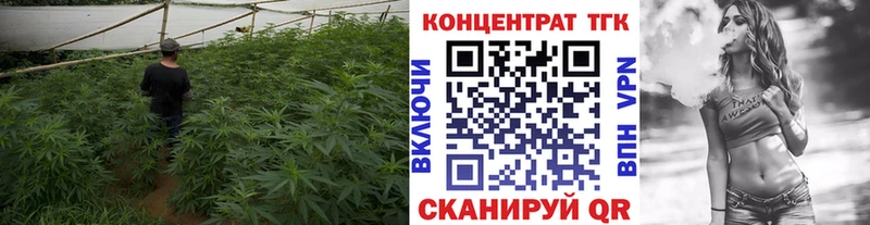 кракен вход  Петров Вал  ТГК THC oil  как найти закладки 
