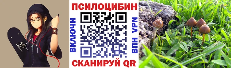 Галлюциногенные грибы MAGIC MUSHROOMS  Петров Вал 